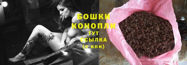 мдпв Верхний Тагил