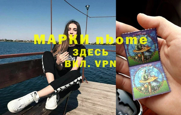 мдпв Верхний Тагил