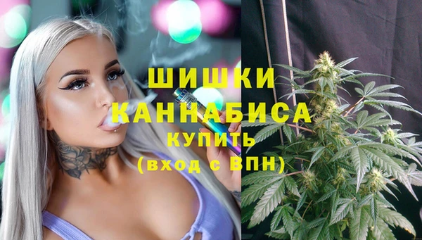 мдпв Верхний Тагил