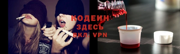 мдпв Верхний Тагил